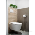 Gros prix bas Smart Sanitary Ware Ultraviolet Rays Salle de bain Mur en céramique suspendu rond toilettes multifonctionnelles